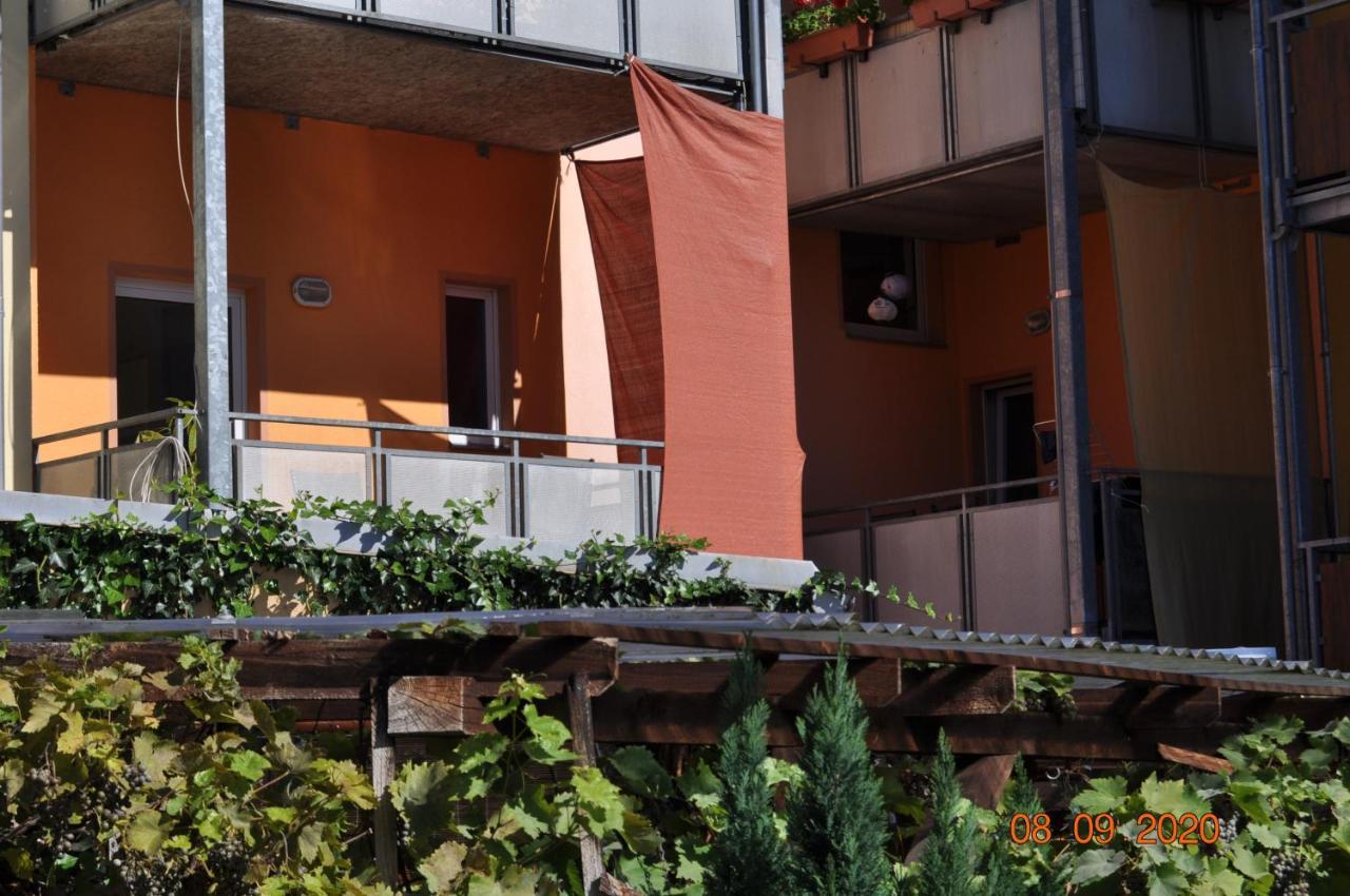 Pension Di Pino Ауэ Экстерьер фото